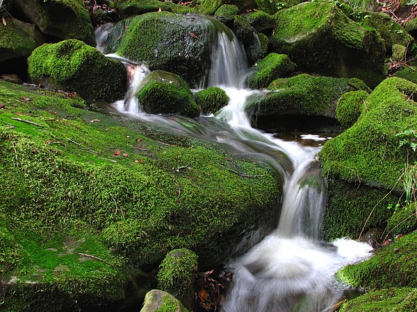 A small cascade in the Las Trampas Regional Wilderness west of Alamo