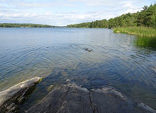 Leden vid Lejondalssjön i Lejondals naturreservat