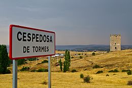 Cespedosa de Tormes - Vue