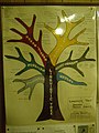 Linguistic Tree of Native Am P9270574.jpg
