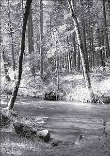 Little Applegate River river in the United States of America