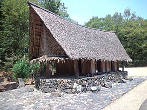 Traditional house in Micronesia, unknown architect, unknown date