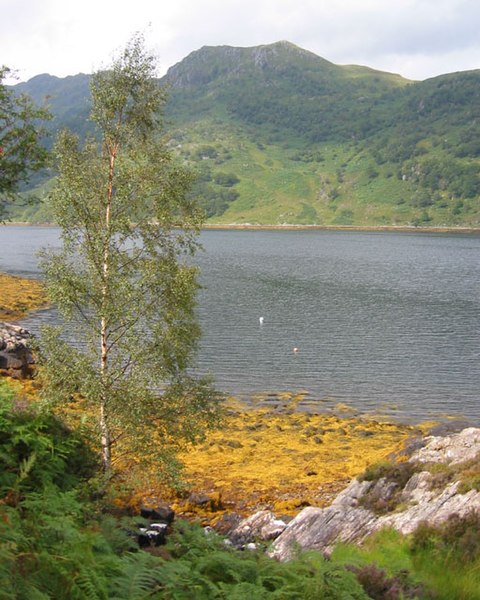 File:Low tide at Loch Hourn - geograph.org.uk - 189556.jpg