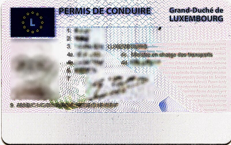 File:Luxembourg, permis de conduire CE (recto).jpg