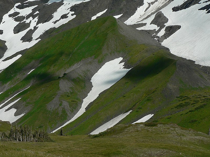 File:Marmot Ridge Moraine 22088.JPG