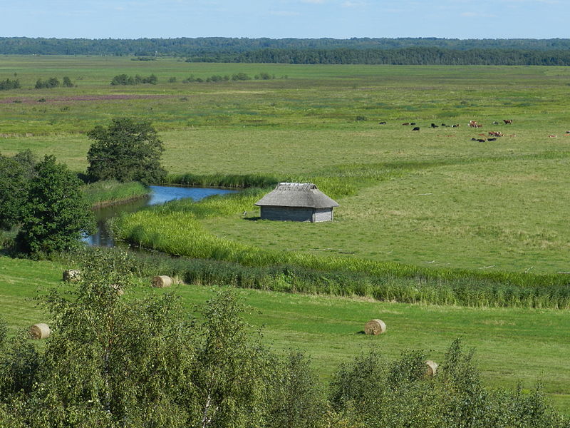 File:Matsalu, Suitsu jõgi.JPG