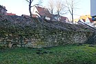 Wall at Balingen City Garden.jpg