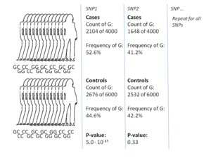 Case-Control Studies - Boston University