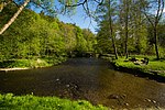 Vignette pour Réserve naturelle domaniale du Pré des Forges