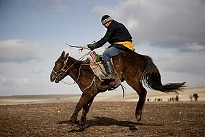 Équitation: Définition, Préparation sportive et entraînement, Matériel