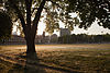 Торонтодағы Moss Park 2012 ж. Мамыр .jpg