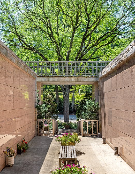 Ash tree behind a columbarium, Mount Auburn Cemetery in Cambridge, 2022-07