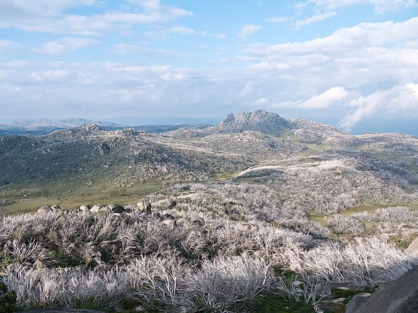 Mount Buffalo plateau as seen from below The Horn.