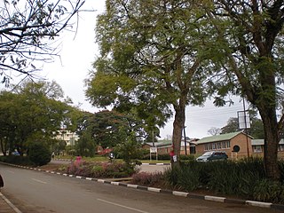 Mzuzu Capital of Malawis Northern Region