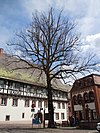 ND Summer lime tree Ambrosius-Blarer-Platz Alpirsbach.jpg