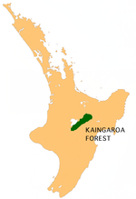 Thumbnail for Kaingaroa Forest