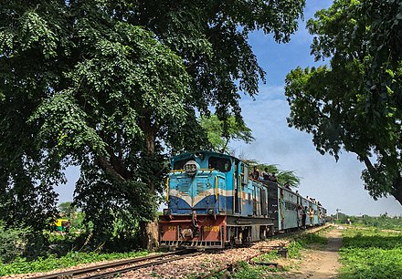 A train on Dholpur–Sarmathura Railway