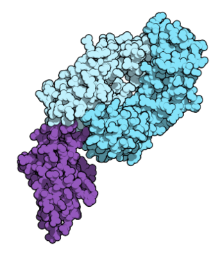 Fortune Salaire Mensuel de Nivolumab Combien gagne t il d argent ? 10 000,00 euros mensuels