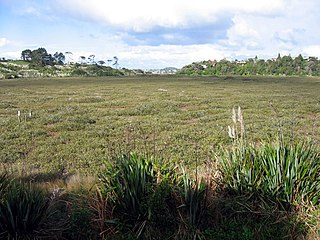 <span class="mw-page-title-main">Northcote Central</span> Suburb in Auckland, New Zealand