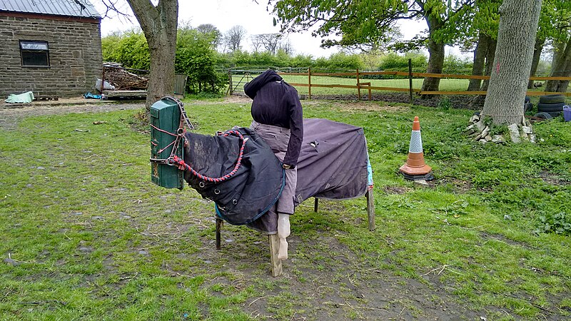 File:Northowram Scarecrow Festival 2015 14.jpg