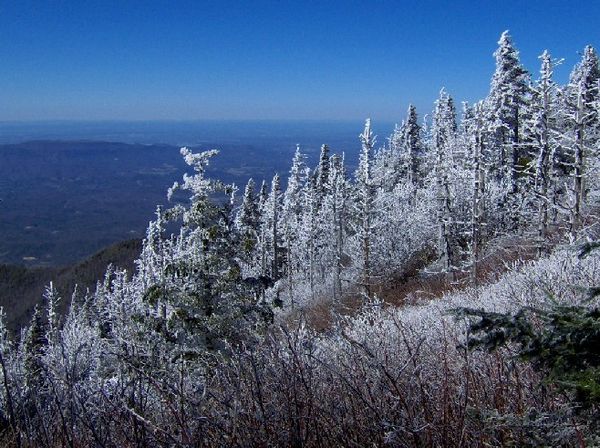 View from the slopes of Old Black