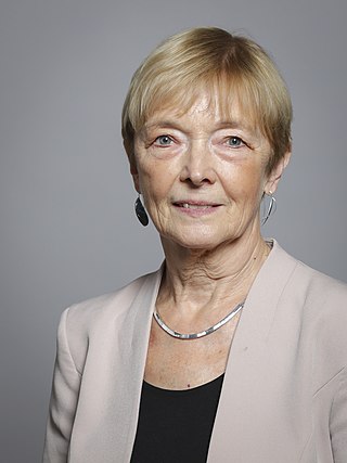 <span class="mw-page-title-main">Margaret Wheeler, Baroness Wheeler</span> Member of the House of Lords (born 1949)