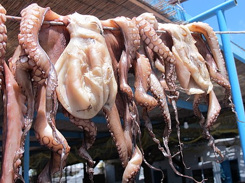 Oktopus vor dem Grillen