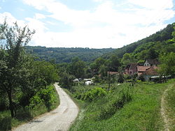 A road towards Otanj, with some Otanj buildings in the middle ground
