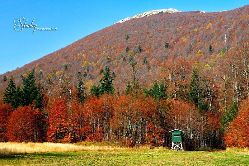 File:Overlooking a mountain near Matic Poljana.jpg