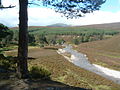 River Quoich