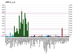 PBB GE CNP 208912 s at fs.png