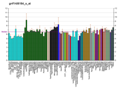 PBB GE SLC2A12 gnf1h06184 s at fs.png