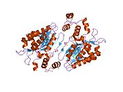 PDB 1w2c EBI.jpg