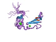 PDB 1xfe EBI.jpg