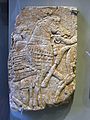 Palafrenieri e cavalli in alta bardatura, epoca di Assurbanipal, calcare, rilievo dal Palazzo di Ninive.JPG