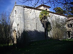 Palmier devant la chapelle.