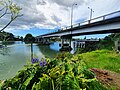 Thumbnail for Panmure Bridge