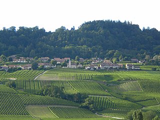 <span class="mw-page-title-main">Bougy-Villars</span> Municipality in Vaud, Switzerland