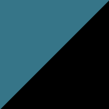 Panthers colours.svg
