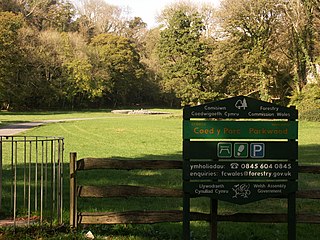 <span class="mw-page-title-main">Parc le Breos</span> Medieval deer park in Wales