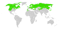 Utbredelseskart for jåblom