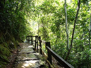 <span class="mw-page-title-main">Guatopo National Park</span>