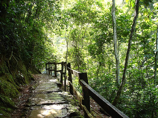File:Parque_Nacional_Guatopo_Guárico.jpg
