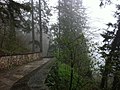 Path climbing to the Sumela Monastery in Trabzon - panoramio.jpg