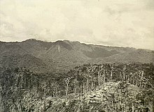 Pearl Ridge on Bougainville (AWM image OG2147).jpg