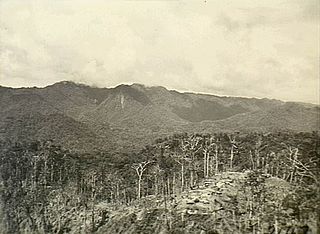 <span class="mw-page-title-main">Battle of Pearl Ridge</span> Part of the Bougainville campaign in World War II