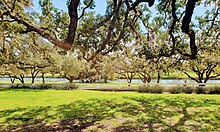 Pedernales River as it passes through the LBJ Ranch near Stonewall.