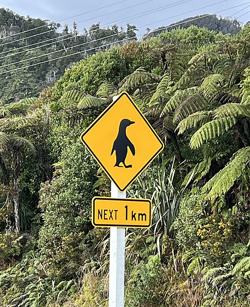 File:Penguin crossing MRD.jpg