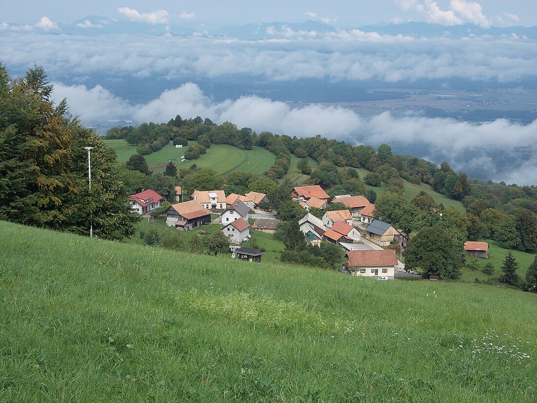 Planina v Podbočju