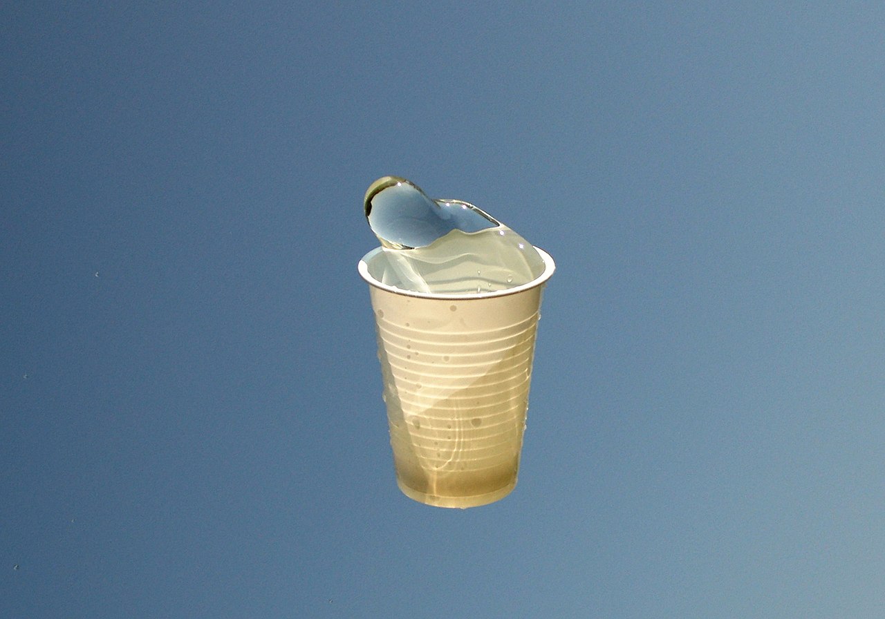 Disposable cup - Wikipedia